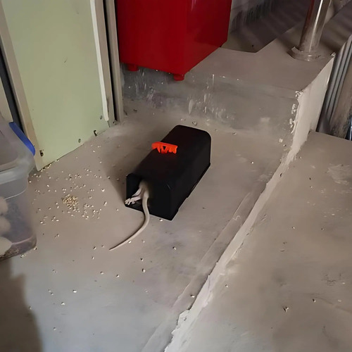 Trampa Para Ratas Eléctrica Sin Veneno Reutilizable Mejorada miniatura 2