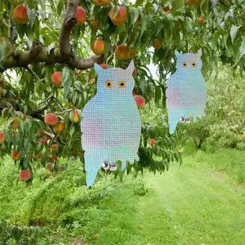 Búho Espanta Pajaros Palomas Reflectante Con Cascabel miniatura 2
