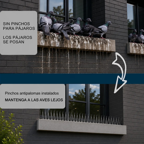 Comparativa de cornisa sin y con pinchos antipalomas instalados para ahuyentar pájaros