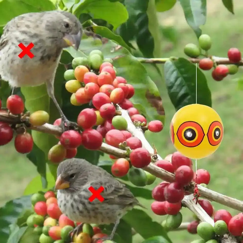 Ahuyentador Repelente De Aves Palomas Globo Diseño Disuasivo miniatura 3